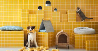 IKEA UTSADD – Nova kolekcija namenjena kućnim ljubimcima
