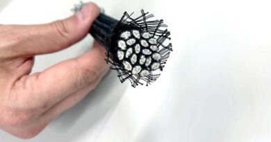 Armatura od konoplje – Novo rešenje za beton bez korozije, ili…