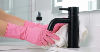 Crne sanitarije – Da li su zaista komplikovane za održavanje?