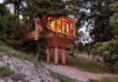 TreeBOX – Kućica među krošnjama koja vraća osećaj slobode