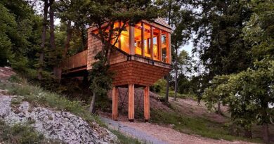 TreeBOX – Kućica među krošnjama koja vraća osećaj slobode