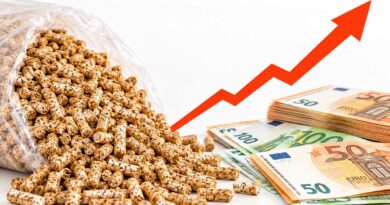 Cena peleta je 45.000 dinara: Izračunali smo koliko košta grejanje kuće i šta je jeftinije